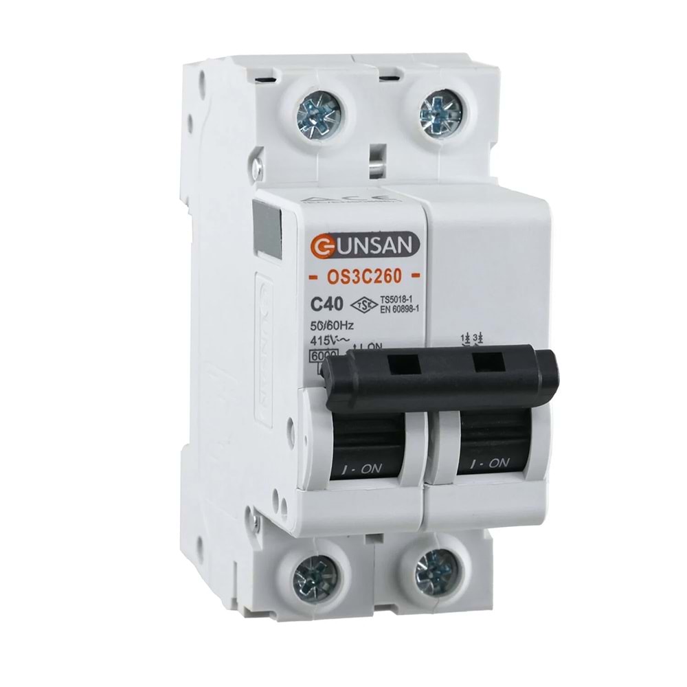 GÜNSAN VALTA OTOMATİK SİGORTA 2 KUTUP 6KA C TİPİ 40A