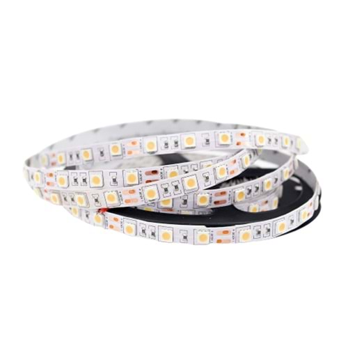 5050 İÇ MEKAN ŞERİT LED GÜN IŞIĞI