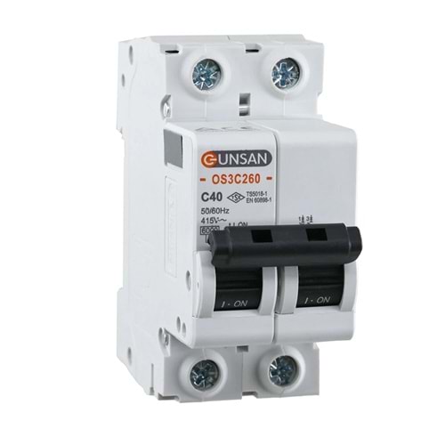 GÜNSAN VALTA OTOMATİK SİGORTA 2 KUTUP 6KA C TİPİ 40A